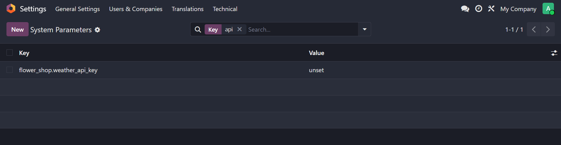 System parameter for API key