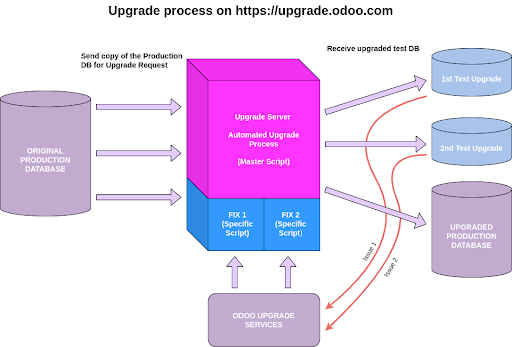 Upgrade Process 